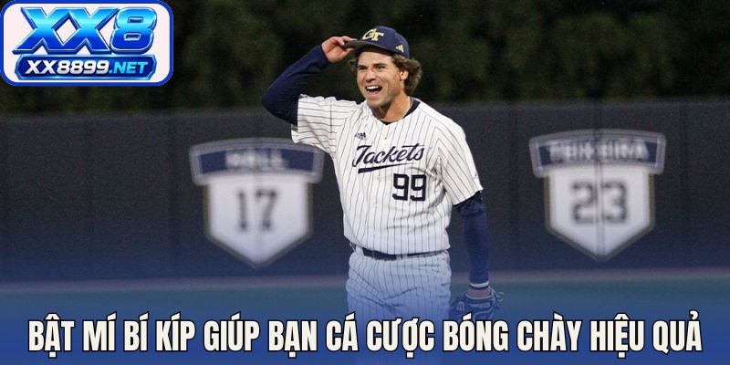Bật mí bí kíp giúp bạn cá cược bóng chày hiệu quả